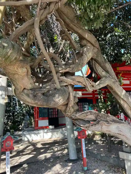 豊藤稲荷神社の自然