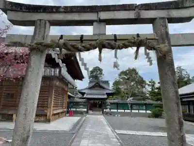 大歳神社(京都府)