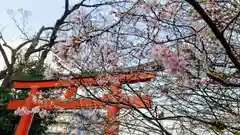 平野神社の自然