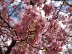 楽法寺（雨引観音）の自然