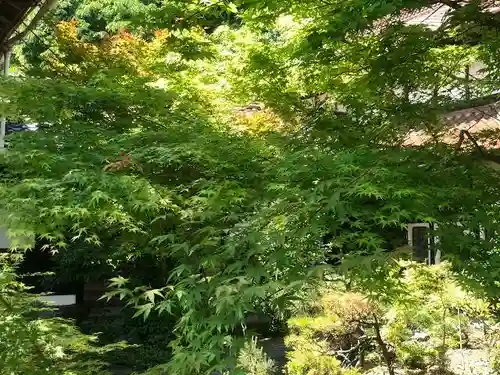 木舟山　順教寺(広島県)