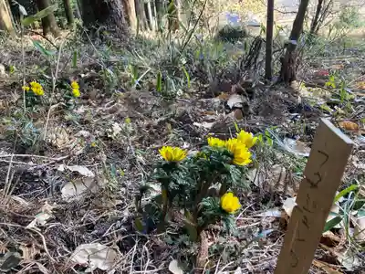 岩戸別神社(栃木県)