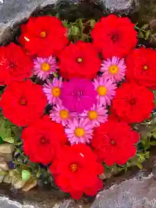 伊達神社の手水舎(2021年10月23日(土) 20時17分55秒投稿)