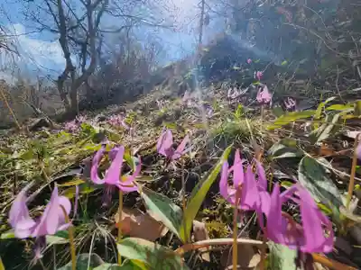 長徳寺(岩手県)