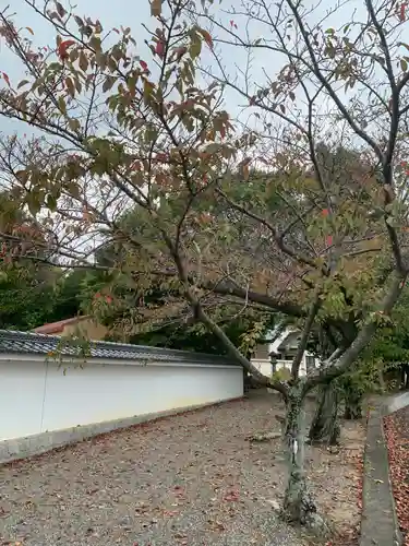 彌都加伎神社(三重県)