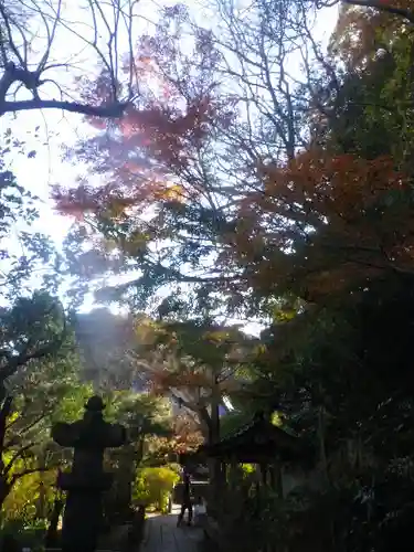 安國論寺（安国論寺）の自然