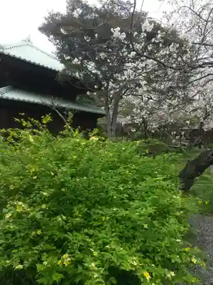 英勝寺(神奈川県)