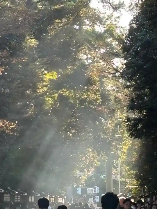 寒川神社の{uncategorized: "未分類", other: "その他", undefined: "問題あり", building: "その他建物", grave: "お墓", sacred_gate: "鳥居", guardian: "狛犬", statue: "像", buddha: "仏像", history: "歴史", nature: "自然", garden: "庭園", animal: "動物", pagoda: "塔", temizu: "手水舎", mountain_gate: "山門・神門", sanctuary: "本殿・本堂", subordinate: "末社・摂社", art: "芸術", scenery: "景色", jizo: "地蔵", ema: "絵馬", goshuin: "御朱印", omikuji: "おみくじ", items: "授与品その他", amulet: "お守り", goshuincho: "御朱印帳", eats: "食事", festival: "お祭り", votive_dance: "神楽", shichigosan: "七五三参", wedding: "結婚式", experience: "体験その他", initially: "初詣", around: "周辺", anti_infection: "感染症対策"}