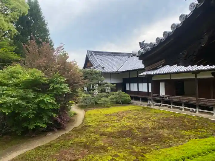 隨心院(随心院)(京都府)