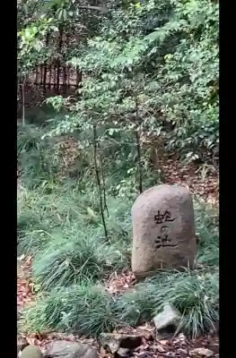 武蔵一宮氷川神社の{uncategorized: "未分類", other: "その他", undefined: "問題あり", building: "その他建物", grave: "お墓", sacred_gate: "鳥居", guardian: "狛犬", statue: "像", buddha: "仏像", history: "歴史", nature: "自然", garden: "庭園", animal: "動物", pagoda: "塔", temizu: "手水舎", mountain_gate: "山門・神門", sanctuary: "本殿・本堂", subordinate: "末社・摂社", art: "芸術", scenery: "景色", jizo: "地蔵", ema: "絵馬", goshuin: "御朱印", omikuji: "おみくじ", items: "授与品その他", amulet: "お守り", goshuincho: "御朱印帳", eats: "食事", festival: "お祭り", votive_dance: "神楽", shichigosan: "七五三参", wedding: "結婚式", experience: "体験その他", initially: "初詣", around: "周辺", anti_infection: "感染症対策"}