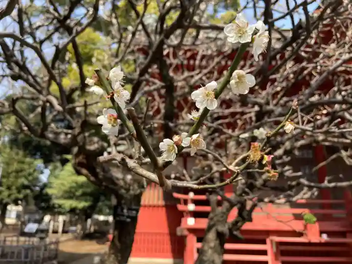 村富神社の自然