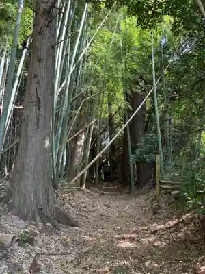 水神社(千葉県)
