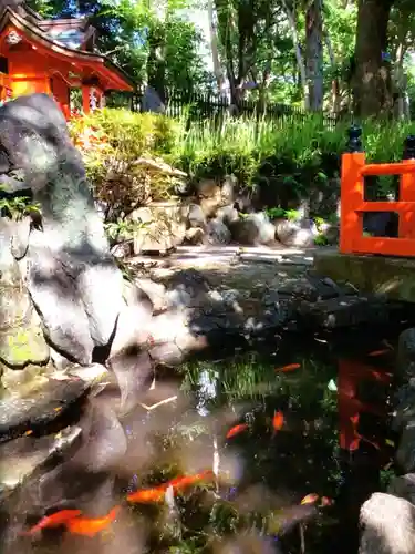 熊野神社の動物