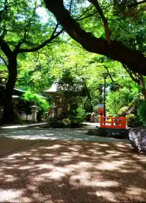 熊野神社(東京都)