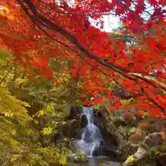 古峯神社の自然