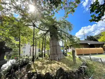 延寿院(三重県)