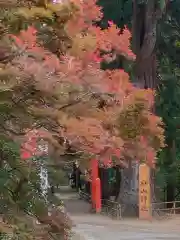 中尊寺(岩手県)