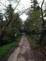 珊瑚寺のその他建物