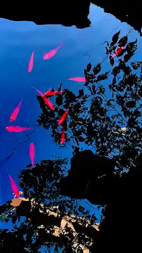 金刀比羅宮(香川県)