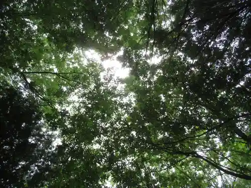 賀茂別雷神社(栃木県)