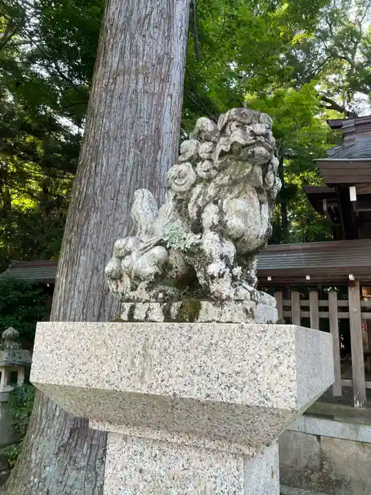 多賀大社(滋賀県)