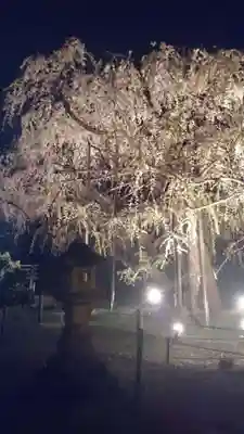 八幡社の末社・摂社