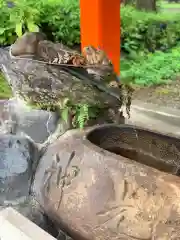 三光稲荷神社の手水