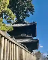 大樹寺(松安院大樹寺)のその他建物
