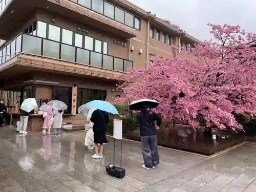 桜神宮(東京都)