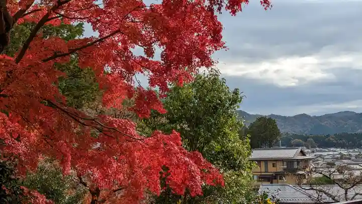 三明院(京都府)
