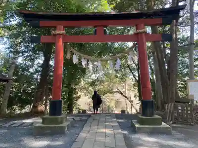 氷川女體神社の{uncategorized: "未分類", other: "その他", undefined: "問題あり", building: "その他建物", grave: "お墓", sacred_gate: "鳥居", guardian: "狛犬", statue: "像", buddha: "仏像", history: "歴史", nature: "自然", garden: "庭園", animal: "動物", pagoda: "塔", temizu: "手水舎", mountain_gate: "山門・神門", sanctuary: "本殿・本堂", subordinate: "末社・摂社", art: "芸術", scenery: "景色", jizo: "地蔵", ema: "絵馬", goshuin: "御朱印", omikuji: "おみくじ", items: "授与品その他", amulet: "お守り", goshuincho: "御朱印帳", eats: "食事", festival: "お祭り", votive_dance: "神楽", shichigosan: "七五三参", wedding: "結婚式", experience: "体験その他", initially: "初詣", around: "周辺", anti_infection: "感染症対策"}