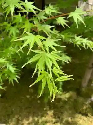 禅林寺(永観堂)(京都府)