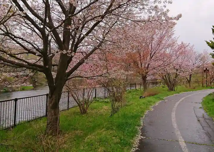 千歳神社の自然