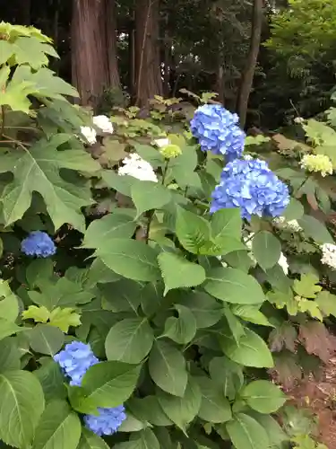 大宝八幡宮の庭園