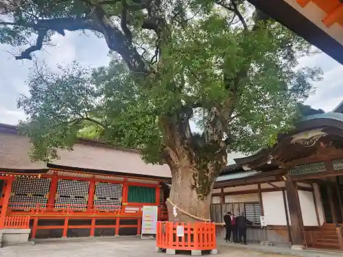 宇佐神宮の{uncategorized: "未分類", other: "その他", undefined: "問題あり", building: "その他建物", grave: "お墓", sacred_gate: "鳥居", guardian: "狛犬", statue: "像", buddha: "仏像", history: "歴史", nature: "自然", garden: "庭園", animal: "動物", pagoda: "塔", temizu: "手水舎", mountain_gate: "山門・神門", sanctuary: "本殿・本堂", subordinate: "末社・摂社", art: "芸術", scenery: "景色", jizo: "地蔵", ema: "絵馬", goshuin: "御朱印", omikuji: "おみくじ", items: "授与品その他", amulet: "お守り", goshuincho: "御朱印帳", eats: "食事", festival: "お祭り", votive_dance: "神楽", shichigosan: "七五三参", wedding: "結婚式", experience: "体験その他", initially: "初詣", around: "周辺", anti_infection: "感染症対策"}