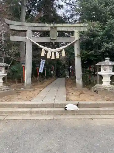 間々田八幡宮(栃木県)
