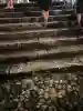 賀茂御祖神社(下鴨神社)のお祭り