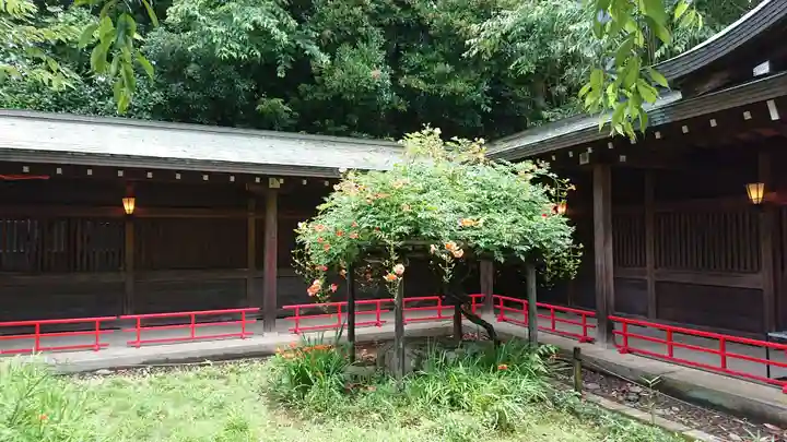 代々木八幡宮の庭園