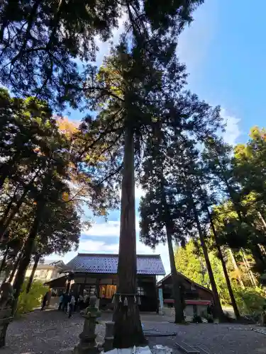 天日陰比咩神社の{uncategorized: "未分類", other: "その他", undefined: "問題あり", building: "その他建物", grave: "お墓", sacred_gate: "鳥居", guardian: "狛犬", statue: "像", buddha: "仏像", history: "歴史", nature: "自然", garden: "庭園", animal: "動物", pagoda: "塔", temizu: "手水舎", mountain_gate: "山門・神門", sanctuary: "本殿・本堂", subordinate: "末社・摂社", art: "芸術", scenery: "景色", jizo: "地蔵", ema: "絵馬", goshuin: "御朱印", omikuji: "おみくじ", items: "授与品その他", amulet: "お守り", goshuincho: "御朱印帳", eats: "食事", festival: "お祭り", votive_dance: "神楽", shichigosan: "七五三参", wedding: "結婚式", experience: "体験その他", initially: "初詣", around: "周辺", anti_infection: "感染症対策"}