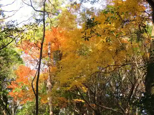 倭姫宮（皇大神宮別宮）の自然