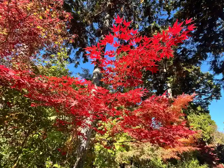 常樂寺(滋賀県)