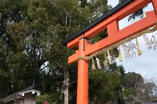 賀茂別雷神社（上賀茂神社）の鳥居