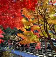 丹生都比売神社(和歌山県)