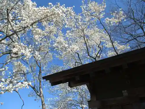 神明神社(千葉県)