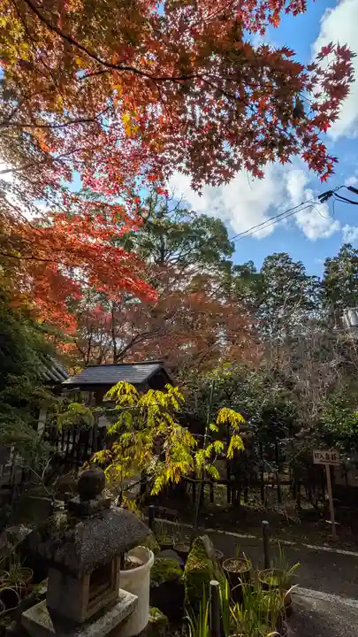 十輪寺(京都府)