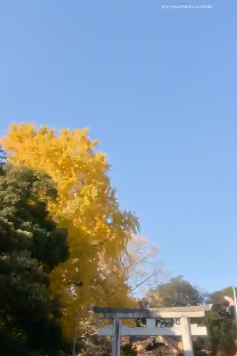 玉敷神社(埼玉県)