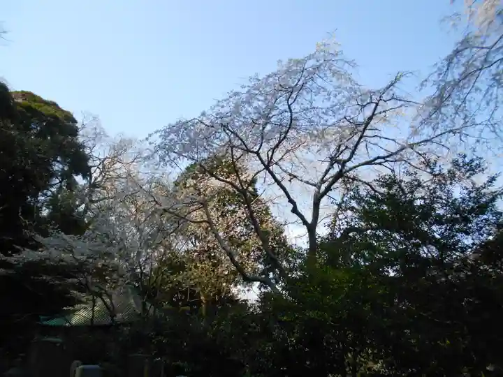 安國論寺(安国論寺)の景色