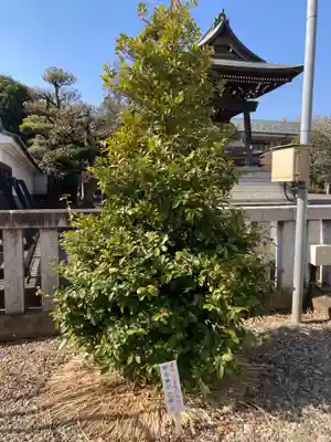 鹿島神社(神奈川県)
