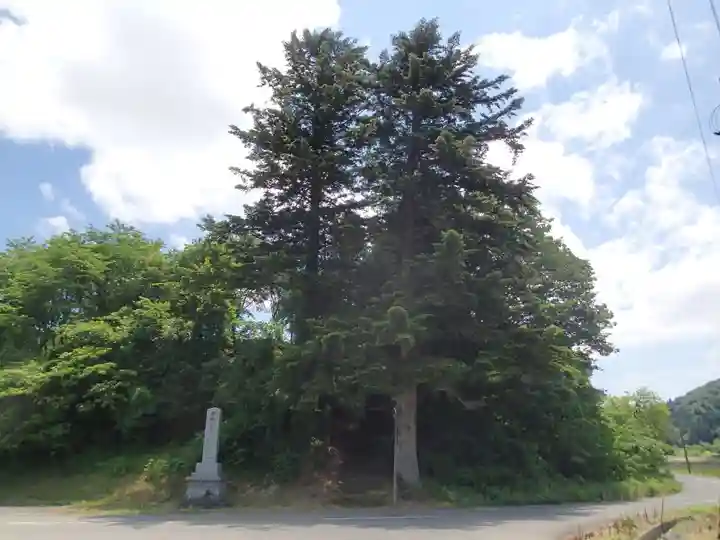 長岡神社・八幡神社・天御布須麻神社の自然