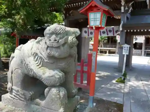 住吉神社の狛犬